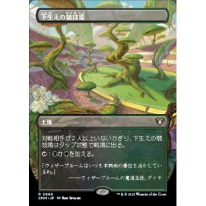 MTG ■土地/日本語版■ 《下生えの競技場/Undergrowth Stadium》▲拡張アート▲...