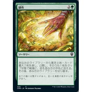 MTG □土地/日本語版□ 《サヴァイのトライオーム/Savai Triome