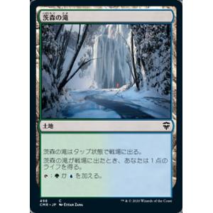 FOIL/拡張アート版】マジックザギャザリング SPM JP 0267 意志を貫く力