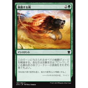 MTG ■緑/日本語版■《暴露する風/Revealing Wind》★FOIL★ タルキール龍紀伝 DTK｜shop998