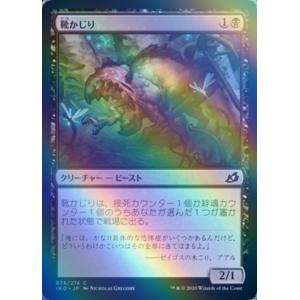 MTG ■黒/日本語版■ 《靴かじり/Boot Nipper》★FOIL★イコリア:巨獣の棲処 IKO