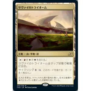 MTG □土地/英語版□ 《霧深い雨林/Misty Rainforest》☆旧枠
