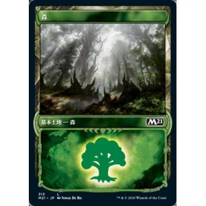 MTG □土地/英語版□ (1513)《平地/Plains》☆FOIL☆ Raining Cats and