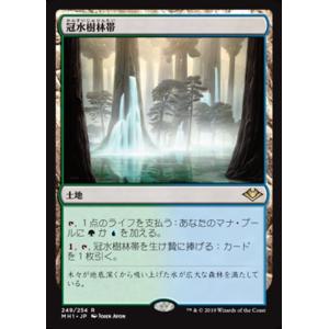 MTG □緑/英語版□ 《深き闇のエルフ/Elves of Deep Shadow》☆プロモ