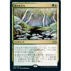 MTG □土地/日本語版□ 《島/Island》☆FOIL☆The Godzilla Lands