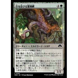 MTG ■緑/日本語版■ (145)《日を浴びる繁殖鱗/Basking Broodscale》MH3...