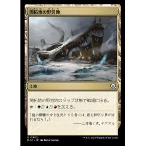 MTG □土地/日本語版□(267)《蒸気孔/Steam Vents》ローウィンの昏明