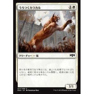 MTG ■白/日本語版■ 《うろつくカラカル/Prowling Caracal》ラヴニカの献身 RN...