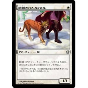 MTG ■白/日本語版■ 《訓練されたカラカル/Trained Caracal》ラヴニカへの回帰 R...