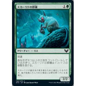 MTG ■緑/日本語版■ 《スカーリドの群棲/Scurrid Colony》ストリクスヘイブン ST...