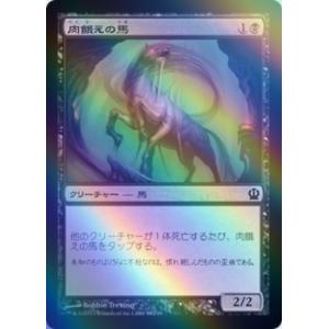 MTG ■黒/日本語版■《肉餓えの馬/Flesh...の商品画像