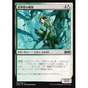 MTG □黒/日本語版□ 《墓所のネズミ/Crypt Rats》モダンホライゾン