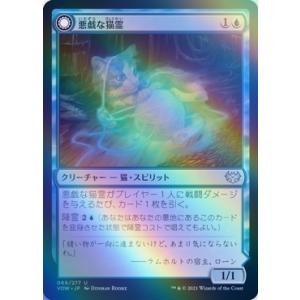 MTG ■青/日本語版■ 《悪戯な猫霊/Mischievous Catgeist》★FOIL★ イニストラード:真紅の契り VOW