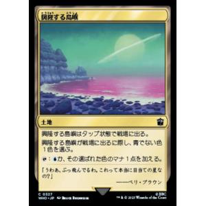 MTG ■土地/日本語版■ 《興隆する島嶼/Thriving Isle》★サージFOIL★ ドクター...