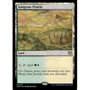 MTG ■土地/英語版■ 《サングラスの大草原/Sungrass Prairie》エルドレインの森：統率者 WOC