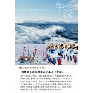 真鯛塩カマ 100g 単品 天草産の詳細画像2