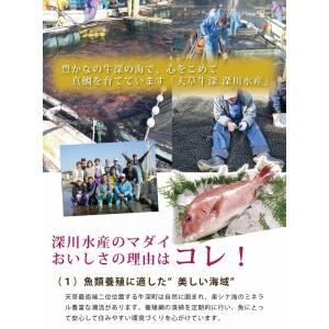 真鯛塩カマ 100g 単品 天草産の詳細画像3