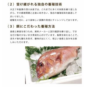 真鯛塩カマ 100g 単品 天草産の詳細画像4