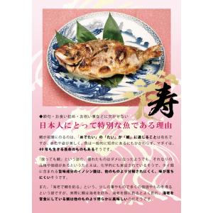 真鯛塩カマ 100g 単品 天草産の詳細画像5