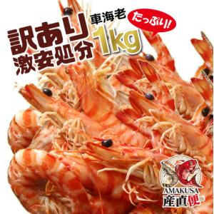 車海老 訳あり 1kg 冷凍車えび サイズ不揃い キズ有り 数量限定 海鮮 くるまえび 加熱用 エビ...