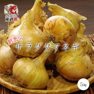 2027年3月末〜発送分予約受付中！完全無農薬 訳あり サラダたまねぎ5kg 検品なしオーガニック栽培 サラたま（規格外品）