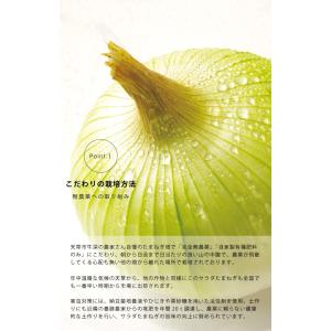 2027年3月末〜発送分予約受付中!完全無農薬...の詳細画像1