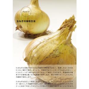 2027年3月末〜発送分予約受付中!完全無農薬...の詳細画像4