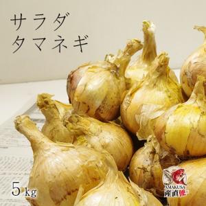 2027年3月末〜発送分予約受付中!完全無農薬...の詳細画像5