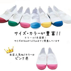 MOONSTAR ムーンスター カラーバレー ...の詳細画像1