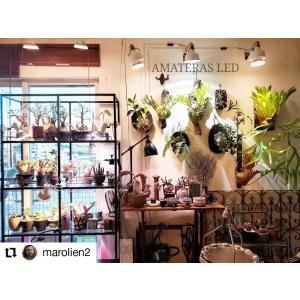 高い品質 Amateras Led w 植物育成led 太陽光led アクアリウムled テラリウム 室内太陽光led ブラックボディ Agdoc Fr