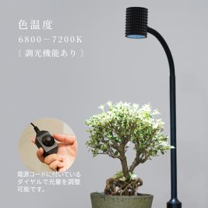 BARREL公式 植物育成スタンドライト led【yew-7w】（ユー）Ra97 植物