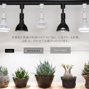 BARREL公式 LIGHT SOCKET-1...の詳細画像2