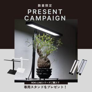 SHELF GROW SLIM : SHOPBARREL - 通販 - Yahoo!ショッピング