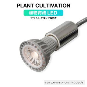 BARREL公式 植物育成LED SUN-10W 白色電球 口径E17 ＋プラントクリップB（PlantLight10W）観葉植物 植物栽培ライト｜shopbarrel