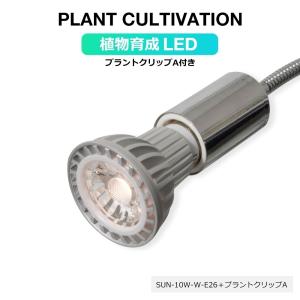 植物育成LED SUN-10W×E26 PLANT CLIP-A セット販売