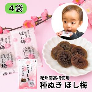 丸長水産 ほし梅 種なし 干し梅 個包装 マルチョウフーズ 紀州南高梅