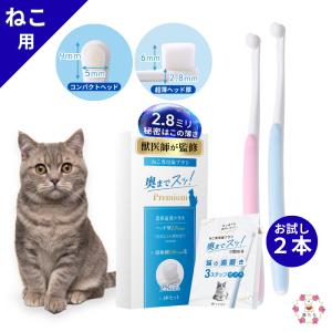 猫 歯ブラシ 【奥までスッ！と届く x 改良2.8mm 極薄ヘッド 】 お試し2本セット　 歯磨き 猫用歯ブラシ ふんわりやわらか 0.06mm 超極細毛で痛くない ねこ ネコ