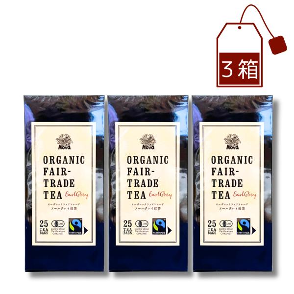 オーガニック アールグレイ 紅茶 フェアトレード 2g*25包 TB ティーバック 有機JAS ノヴ...