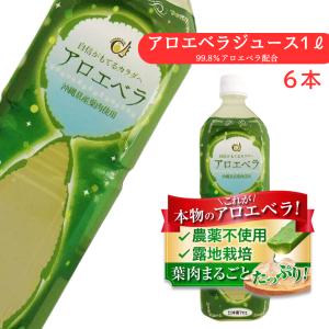 沖縄県産アロエベラジュース2L☓2本 1bn33.jpg