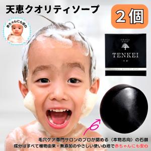 【正規代理店】天恵クオリティソープ 80g ２個セット プラスケア 天恵石鹸 天然のカバノアナタケを配合 無添加 樺のあな茸