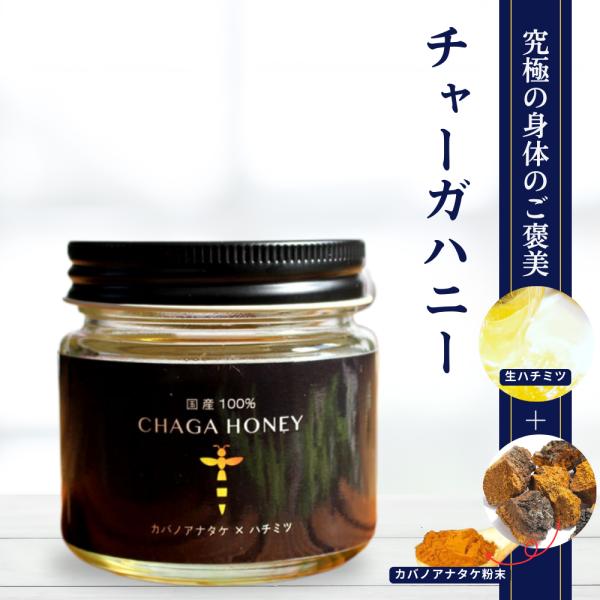 チャーガハニー CHAGA HONEY カバノアナタケ 生ハチミツ 102g  はちみつ 非加熱 樺...