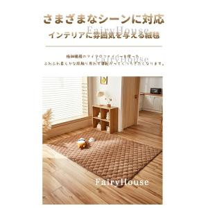 【6%OFFクーポン配布中!】ラグ 洗える ラ...の詳細画像2