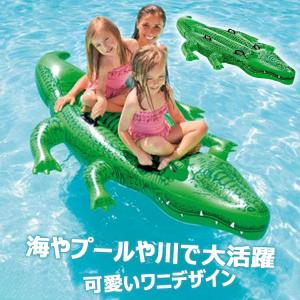 二人乗り 浮き輪 イルカジンベエザメ サーフボ...の詳細画像1