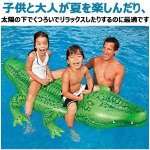 二人乗り 浮き輪 イルカジンベエザメ サーフボ...の詳細画像2