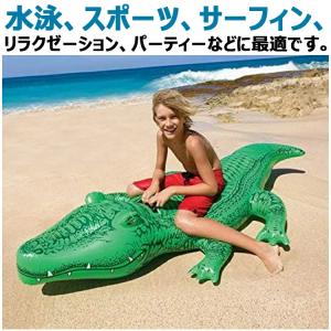 二人乗り 浮き輪 イルカジンベエザメ サーフボ...の詳細画像3