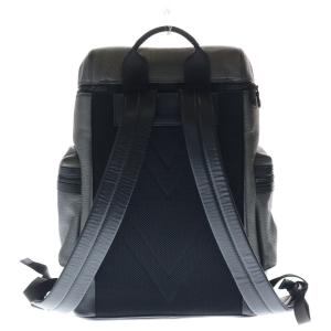 LOUIS VUITTON ルイヴィトン トリ...の詳細画像1