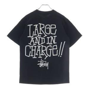 STUSSY ステューシー 00S VINTA...の詳細画像1