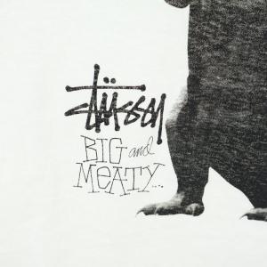 STUSSY ステューシー 90s Big&a...の詳細画像5
