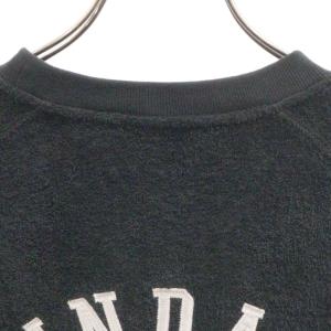 CHAMPION チャンピオン WIND AN...の詳細画像3