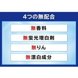 洗剤 合計3.9kg 日本製 善玉バイオ ハイ...の詳細画像5